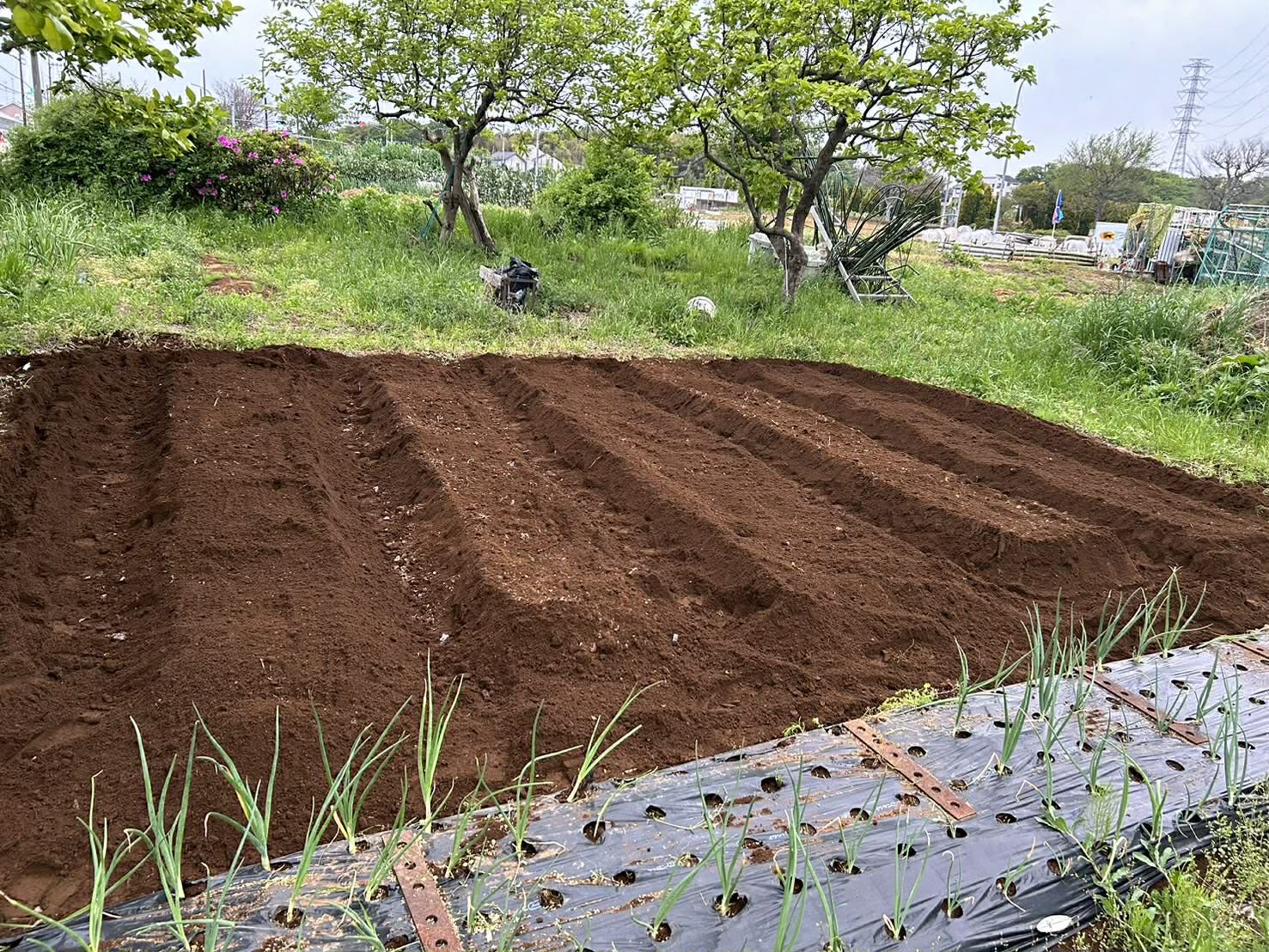平田ファームの活動風景