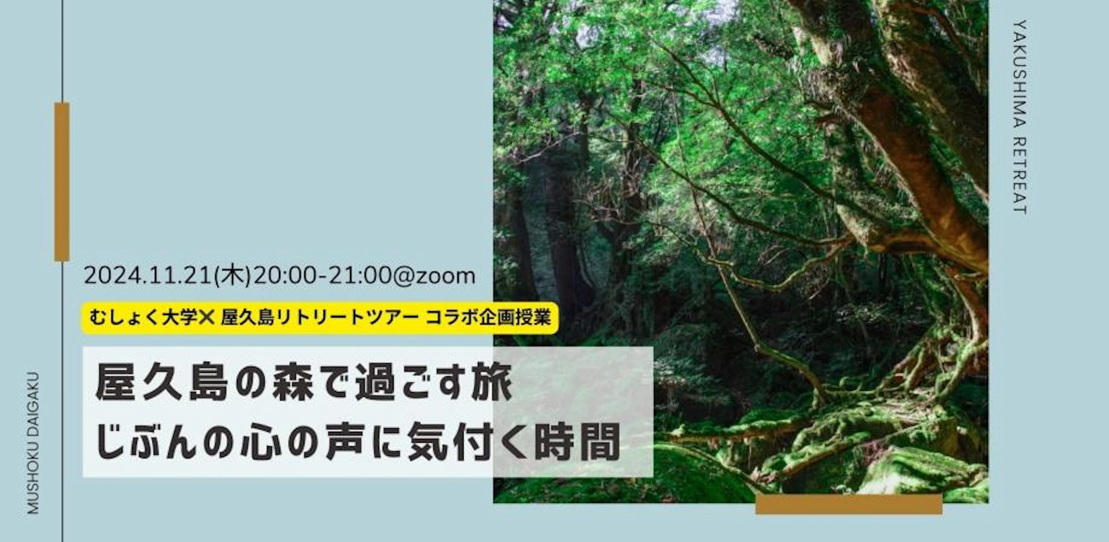 屋久島の森で過ごす旅じぶんの心の声に気付く時間by 屋久島リトリートツアー