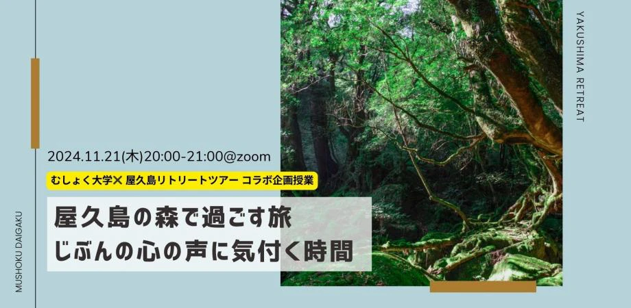 屋久島の森で過ごす旅じぶんの心の声に気付く時間by 屋久島リトリートツアー