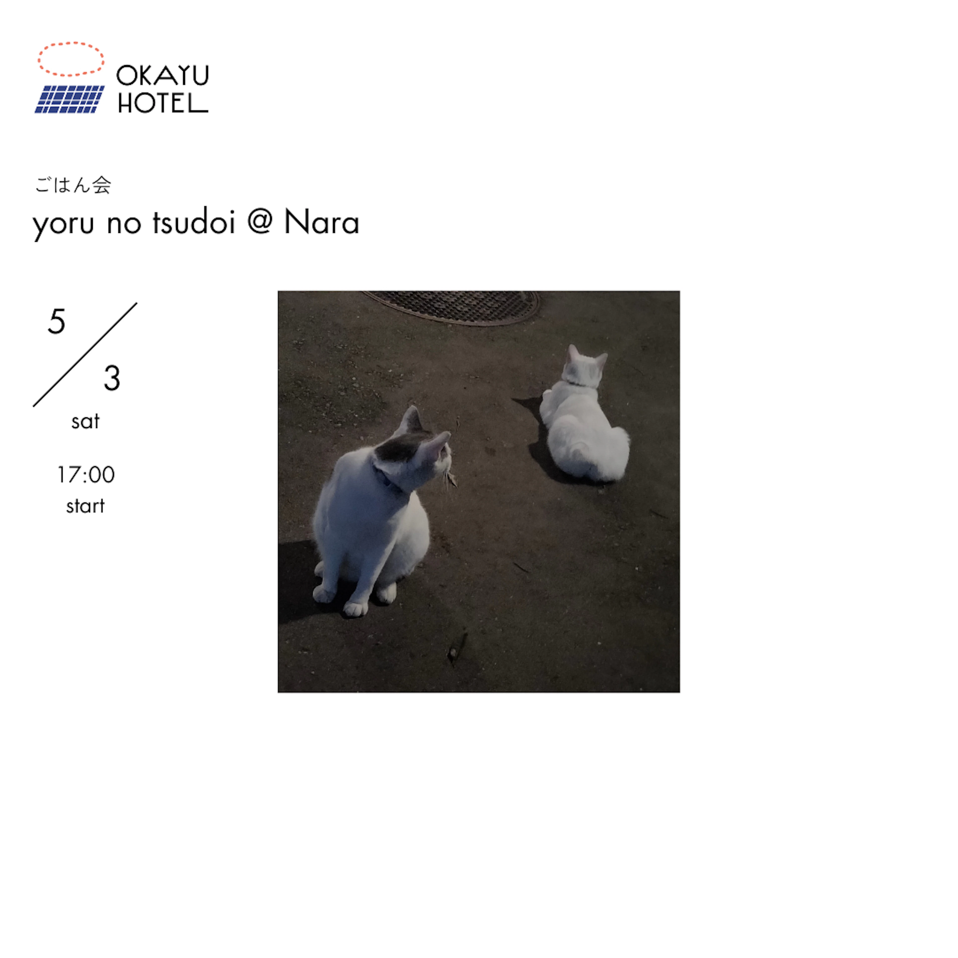 よるのつどい