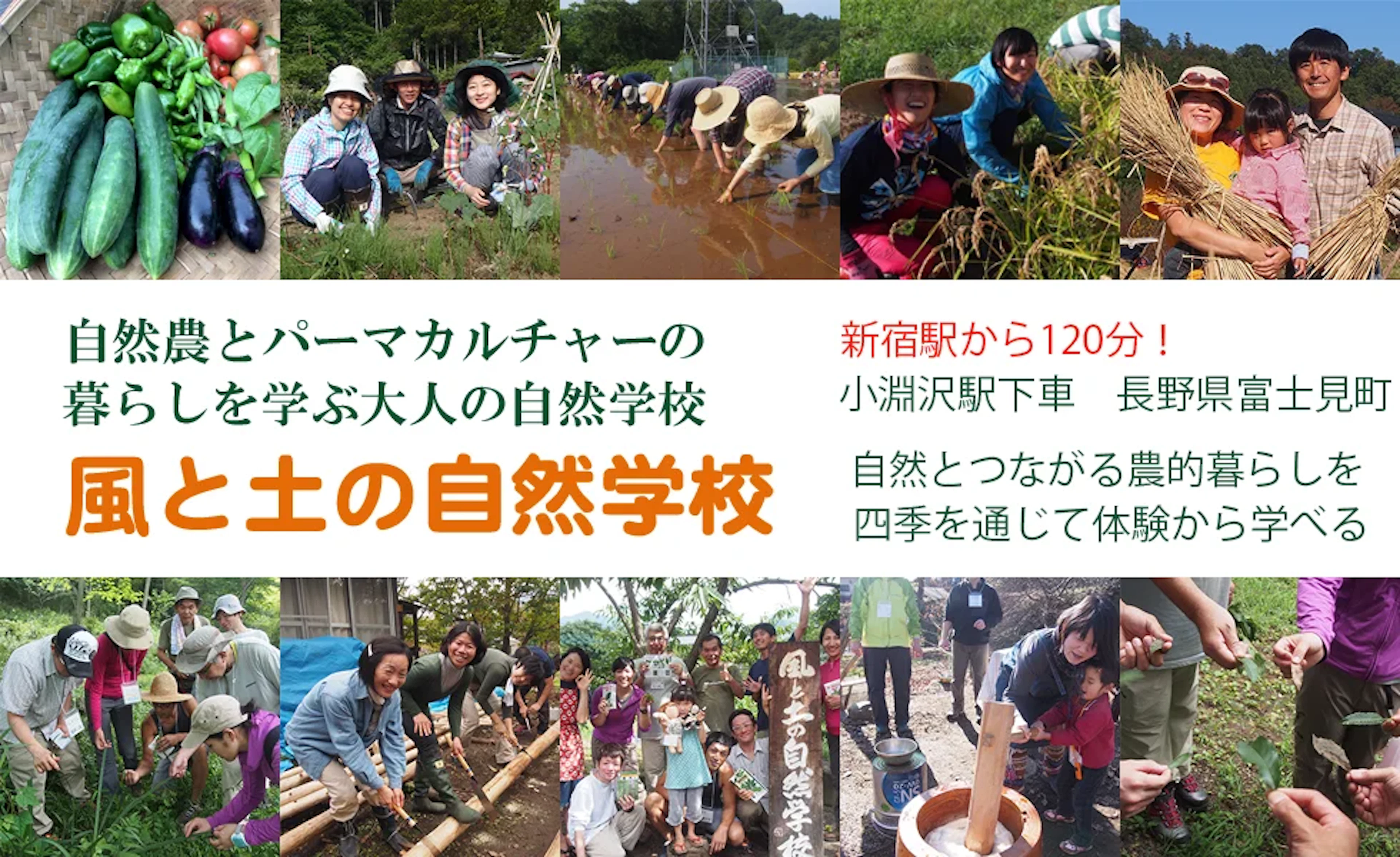 風と土の自然学校