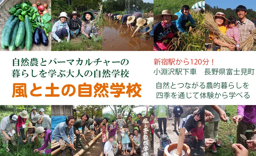風と土の自然学校