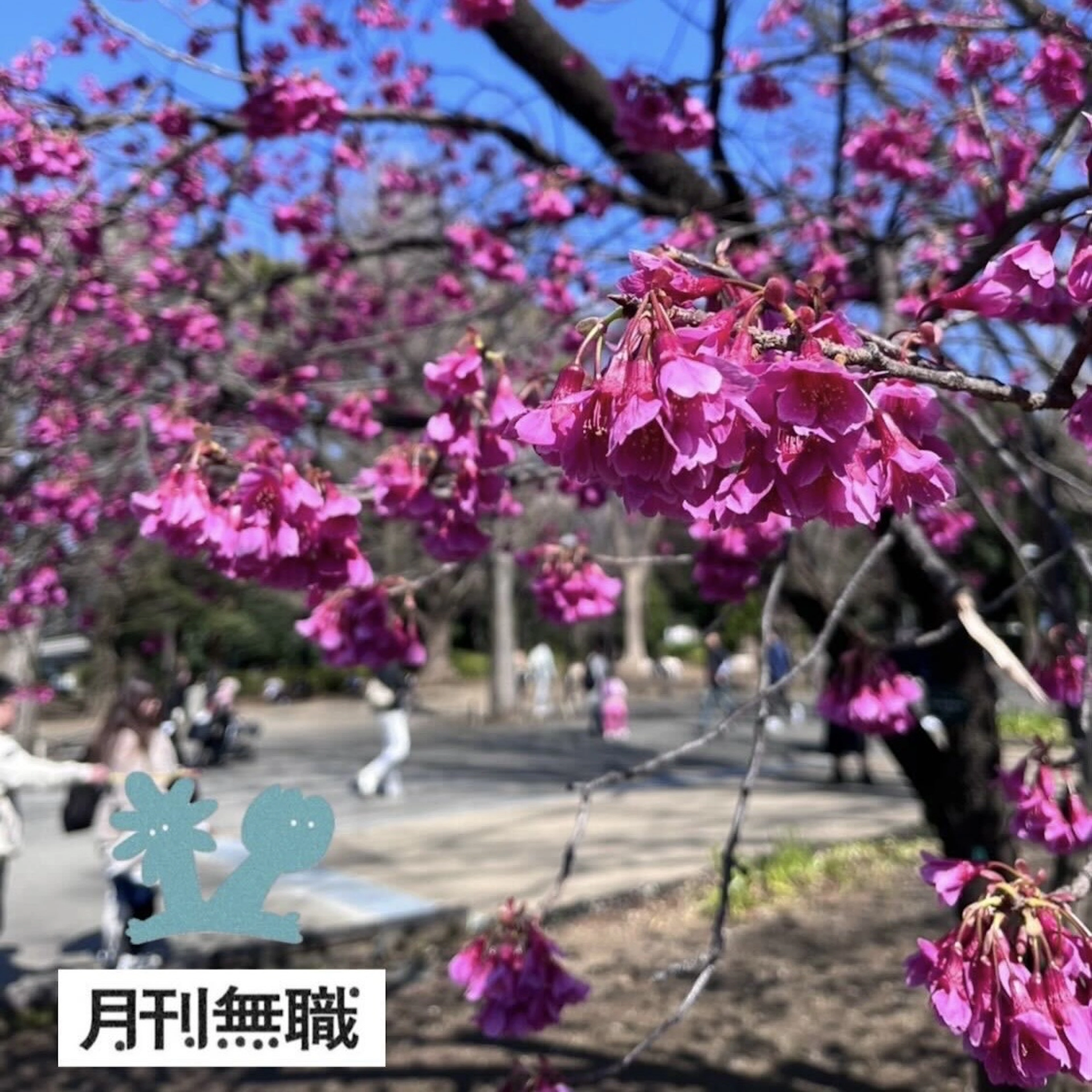 月刊無職\\一部公開中～//－キャリアブレイクの情報誌2025年4月号（#31）