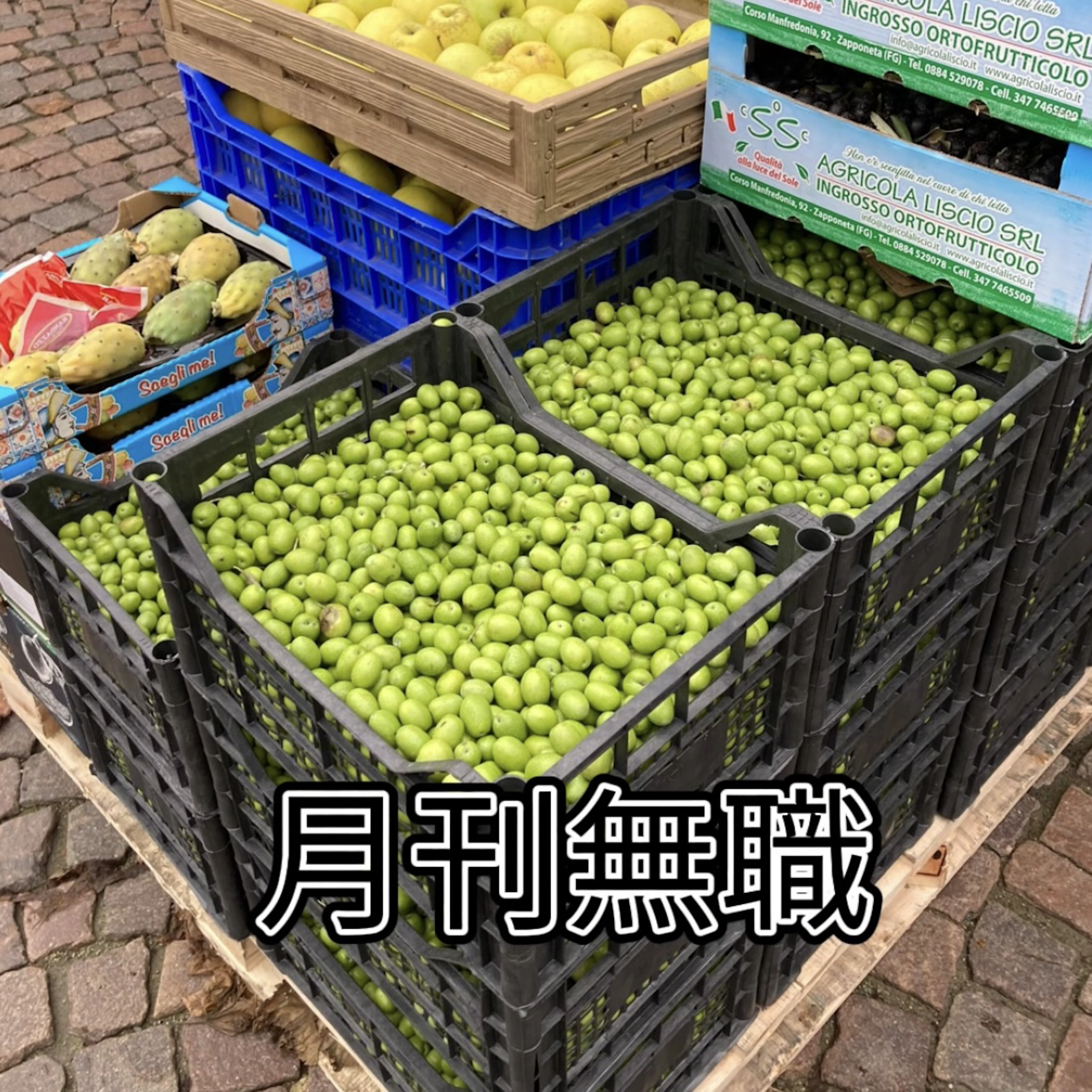 【読みもの】月刊無職　\\一部公開中～//－キャリアブレイクの情報誌2025年3月号（#30）