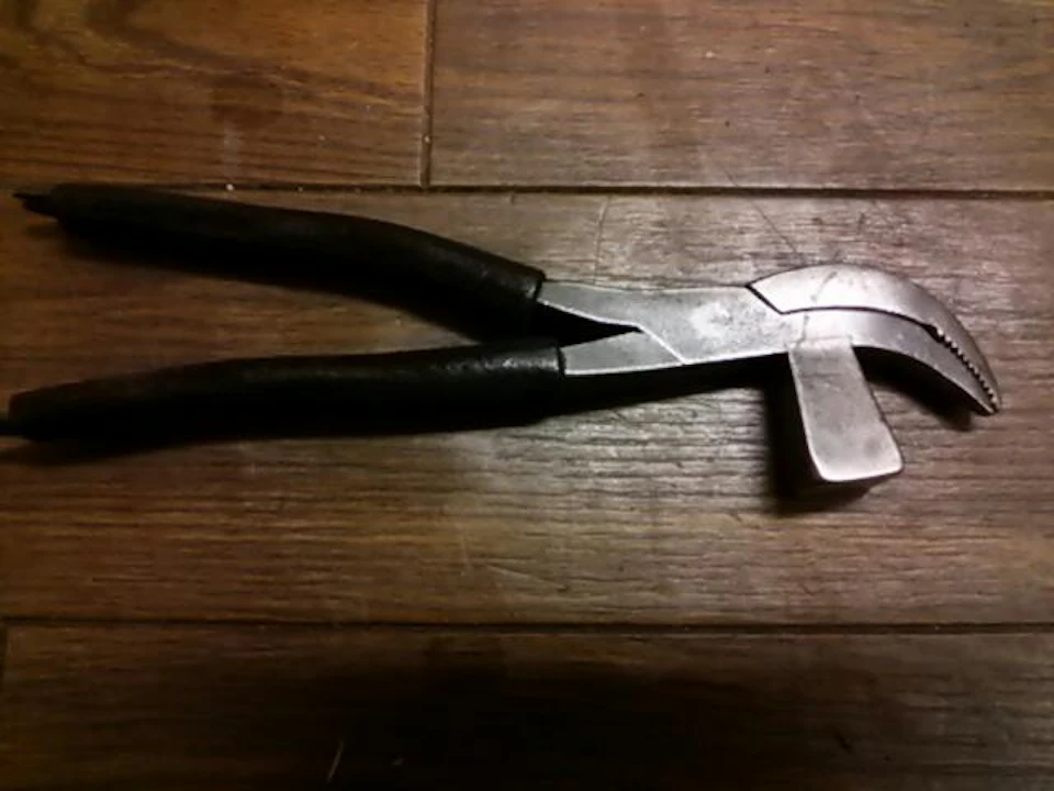 ワニ(ピンサー)