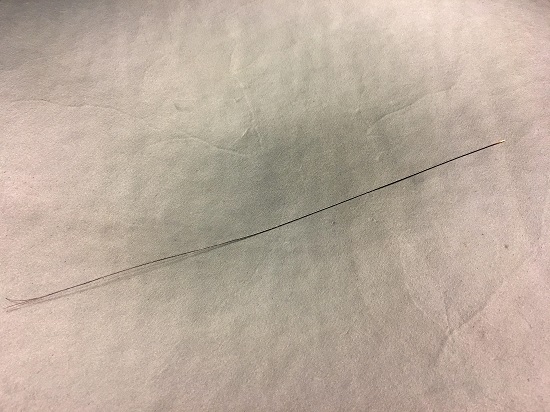 毛針|イノシシの毛