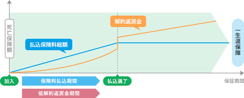 低解約返戻金型終身保険