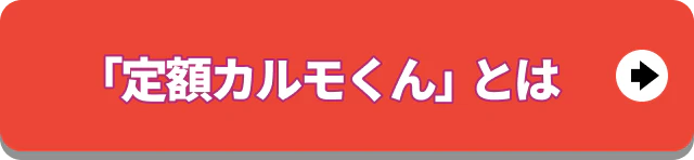 定額カルモくんとは