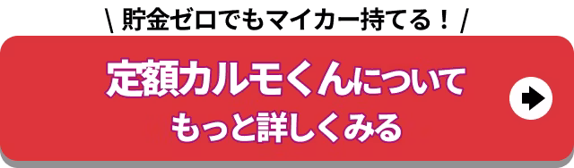 定額カルモくんについてもっと詳しくみる