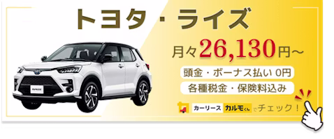 ライズ_新車バナー