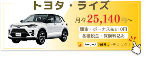 ライズ_新車バナー