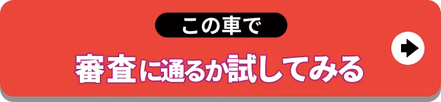 この車で審査に通るか試してみる