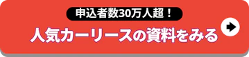 人気カーリースの資料を見る【申込者数30万人超】