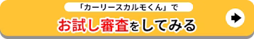 定額カルモくんでお試し審査をしてみる