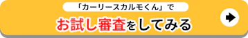 定額カルモくんでお試し審査をしてみる