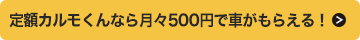 月々500円
