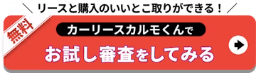リースと購入のいいとこ取り_お試し審査をしてみる