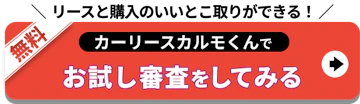 リースと購入のいいとこ取り_お試し審査をしてみる