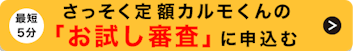 お試し