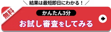 結果は最短即日_お試し審査