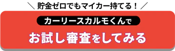 貯金ゼロでも_定額カルモくんでお試し審査