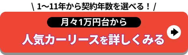 1～11年から契約年数を選べる_人気カーリースを詳しく見る