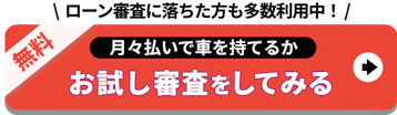 ローン落ちた_月々払い_お試し審査