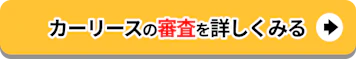 カーリースの審査を詳しくみる