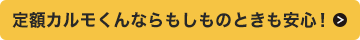 もしものときも安心