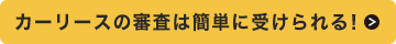審査は簡単