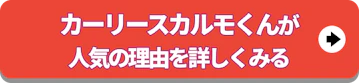 人気の理由を詳しくみる