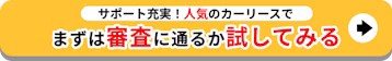 サポート充実！人気のカーリース_まずは審査に通るか試してみる