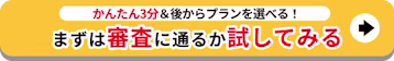 お試し審査_簡単3分_後からプランを選べる