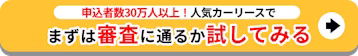 申込者数30万人以上_まずは審査に通るか試してみる