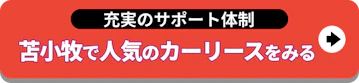 苫小牧で人気のカーリースをみる