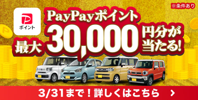 お年玉キャンペーン2026