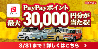 お年玉キャンペーン2026