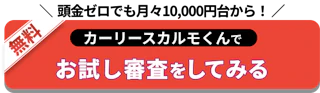 月々10000円台から_お試し審査