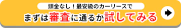 最安級のカーリース_審査に通るか試してみる
