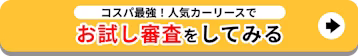 コスパ最強_お試し審査をしてみる