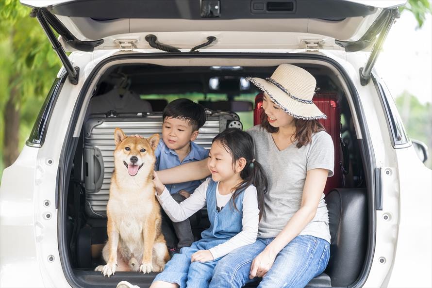 買取できるカーリースより負担の少ない、車がもらえるカーリースがおすすめ!
