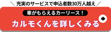 充実のサービスで申込者数30万人越え_車がもらえるカーリース