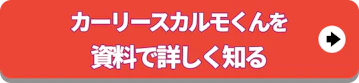 定額カルモくんを資料で詳しく知る