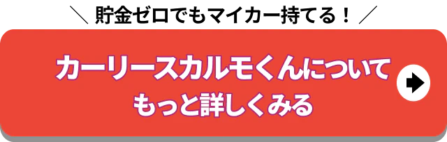カルモくんについてもっと詳しくみる