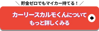 貯金ゼロでも_定額カルモくんについて詳しくみる