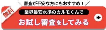 審査が不安な方にもおすすめ_お試し審査をしてみる