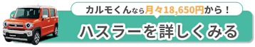 ハスラーを詳しくみる
