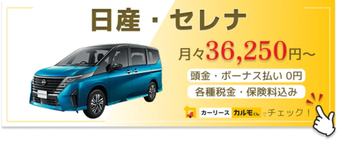 セレナ_金額バナー