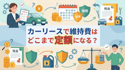 カーリースに含まれる維持費とは？