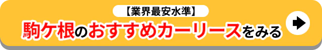駒ヶ根のおすすめカーリースをみる